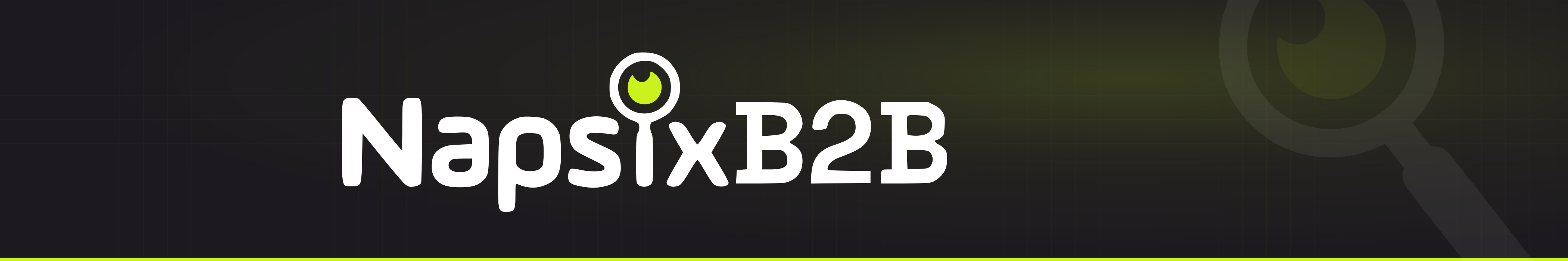 Portada oficial de empresa en LinkedIn de NapsixB2B